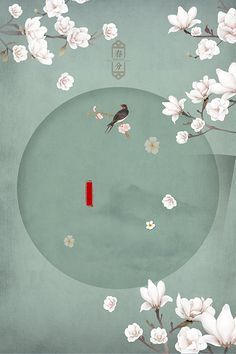 星空无限传媒官方网
